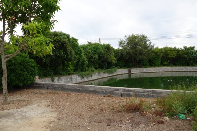 dsc01145.jpg