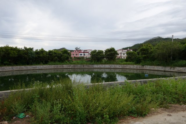 dsc01147.jpg
