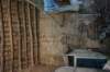 dsc00225_small.jpg