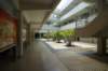 dsc00029_small.jpg