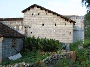 IMG_0484