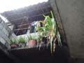 DSC01320