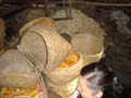 DSC01353